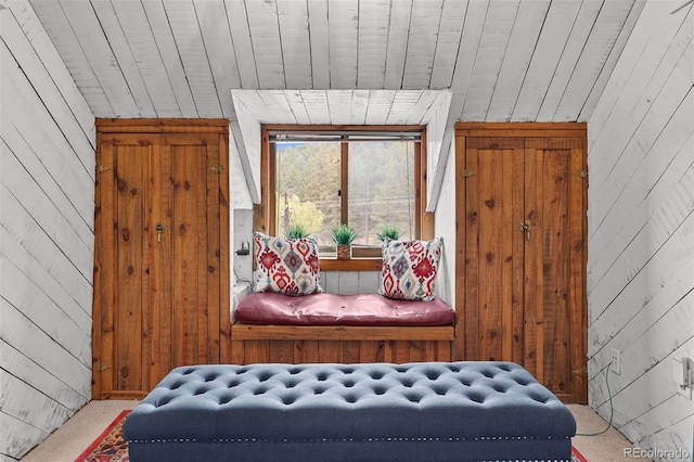 245 N County Highway 67, Sedalia, CO 80135 - sitting room featuring wooden walls and carpet