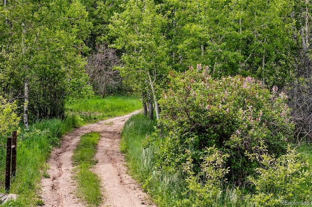 245 N County Highway 67, Sedalia, CO 80135 - view of tree filled area