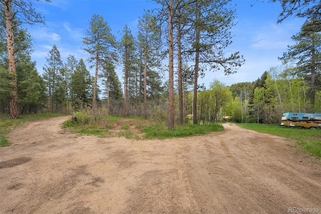 245 N County Highway 67, Sedalia, CO 80135 - view of dirt / gravel road featuring a wooded view