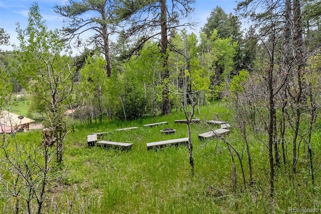 245 N County Highway 67, Sedalia, CO 80135 - view of yard