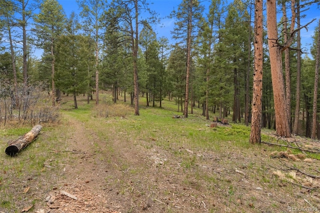 245 N County Highway 67, Sedalia, CO 80135 - view of wooded area