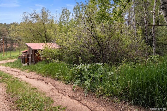 245 N County Highway 67, Sedalia, CO 80135 - view of yard with a wooded view