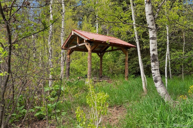 245 N County Highway 67, Sedalia, CO 80135 - surrounding community with a gazebo and a view of trees