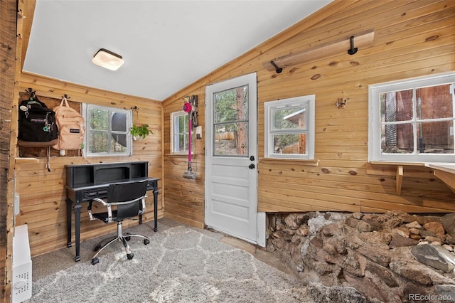 15535 S Elk Creek Rd, Pine, CO 80470 - carpeted office featuring lofted ceiling and wood walls
