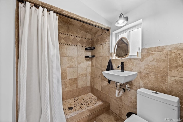 15535 S Elk Creek Rd, Pine, CO 80470 - full bath with a sink, toilet, a shower stall, and lofted ceiling