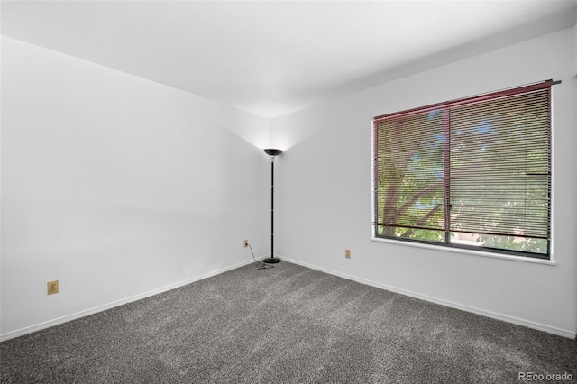 216 Wright St Unit 106, Lakewood, CO 80228 - photo 23