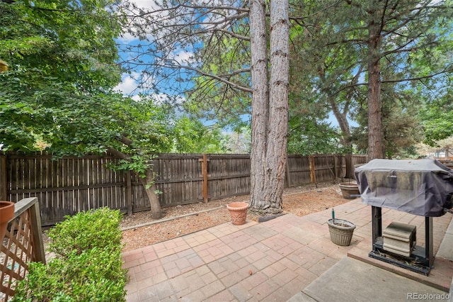 216 Wright St Unit 106, Lakewood, CO 80228 - photo 33
