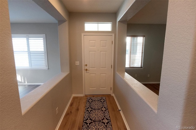 doorway to outside with wood finished floors, a wealth of natural light, and baseboards