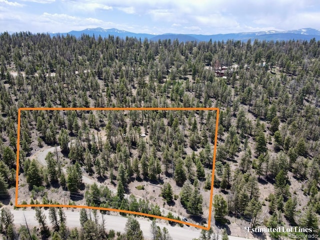 1445 Redhill Rd, Fairplay, CO 80440 - photo 1