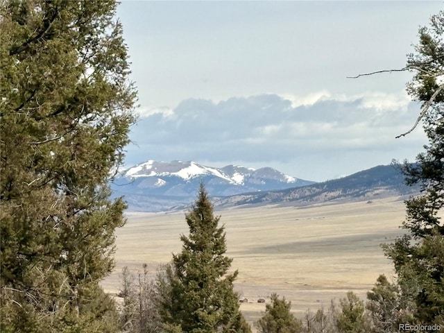 1445 Redhill Rd, Fairplay, CO 80440 - photo 2