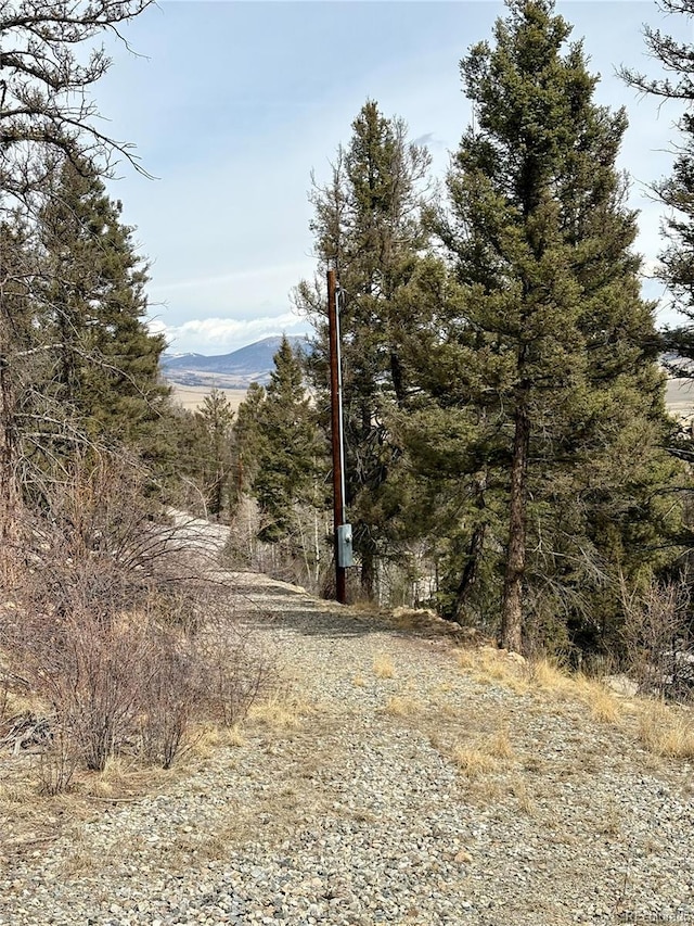 1445 Redhill Rd, Fairplay, CO 80440 - photo 4