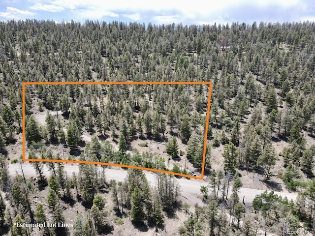1445 Redhill Rd, Fairplay, CO 80440 - photo 5
