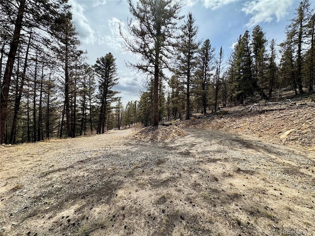 1445 Redhill Rd, Fairplay, CO 80440 - photo 6