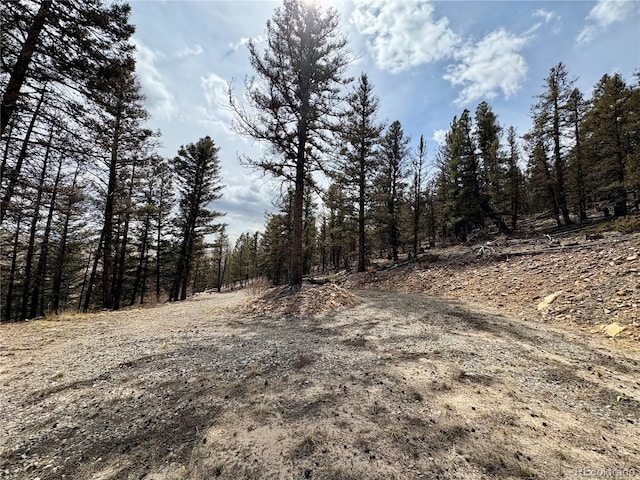 1445 Redhill Rd, Fairplay, CO 80440 - photo 7