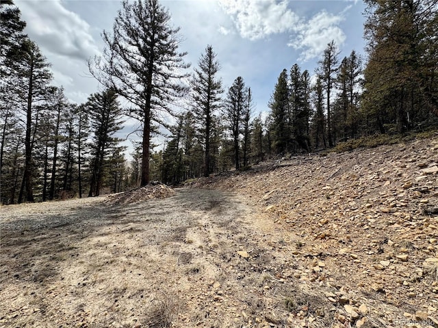1445 Redhill Rd, Fairplay, CO 80440 - photo 9