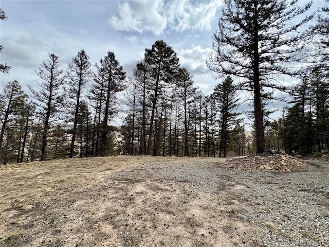 1445 Redhill Rd, Fairplay, CO 80440 - photo 10