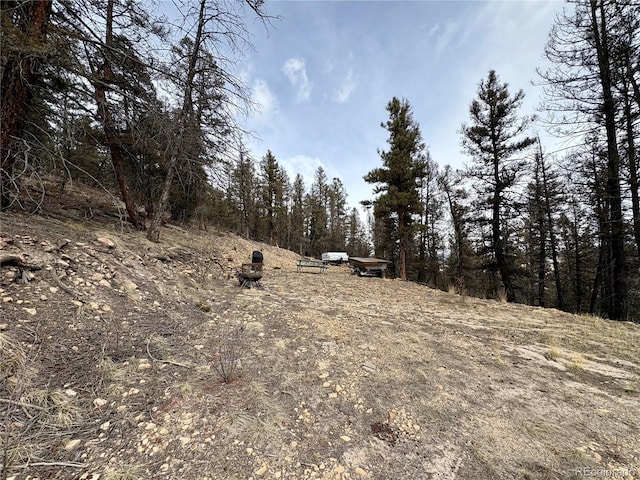 1445 Redhill Rd, Fairplay, CO 80440 - photo 11