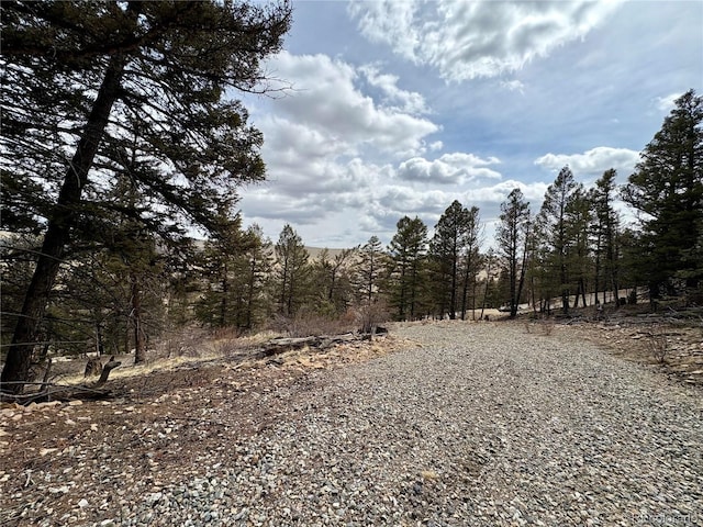 1445 Redhill Rd, Fairplay, CO 80440 - photo 23