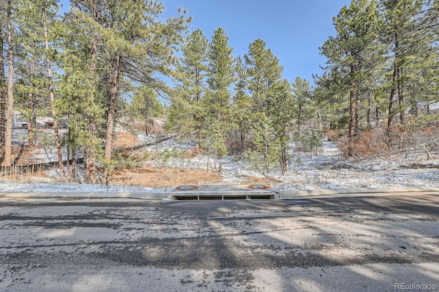 665 Poncho Rd, Larkspur, CO 80118