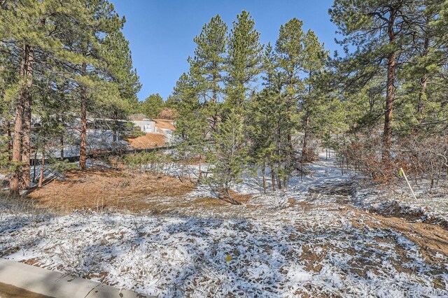 665 Poncho Rd, Larkspur, CO 80118