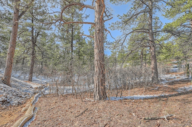 665 Poncho Rd, Larkspur, CO 80118