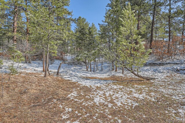 665 Poncho Rd, Larkspur, CO 80118