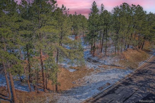 665 Poncho Rd, Larkspur, CO 80118