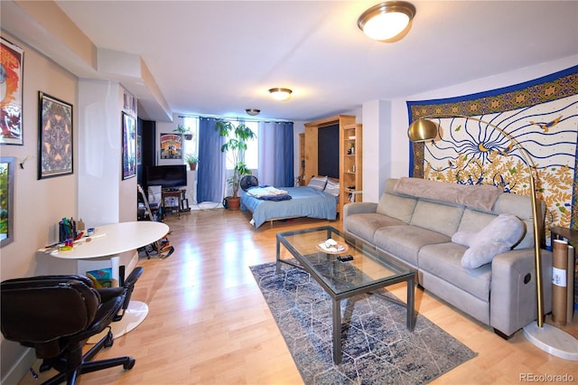 living room with baseboards and light wood-style floors