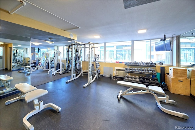 workout area with plenty of natural light and a wall mounted air conditioner