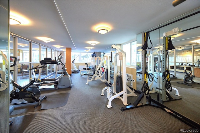 workout area featuring plenty of natural light