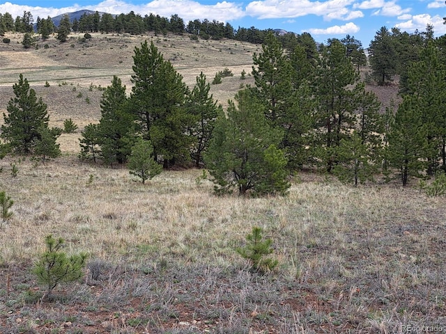 744 Julia Rd, Guffey, CO 80820