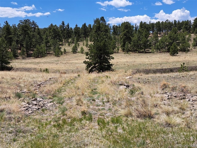 744 Julia Rd, Guffey, CO 80820