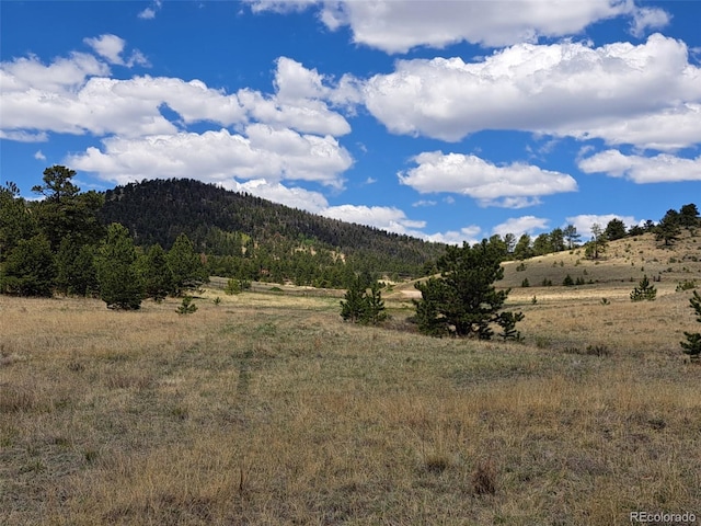 744 Julia Rd, Guffey, CO 80820