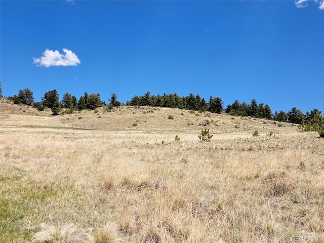 744 Julia Rd, Guffey, CO 80820