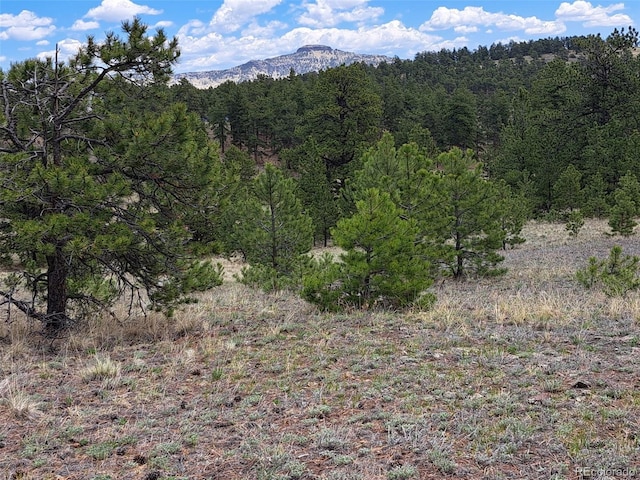 744 Julia Rd, Guffey, CO 80820