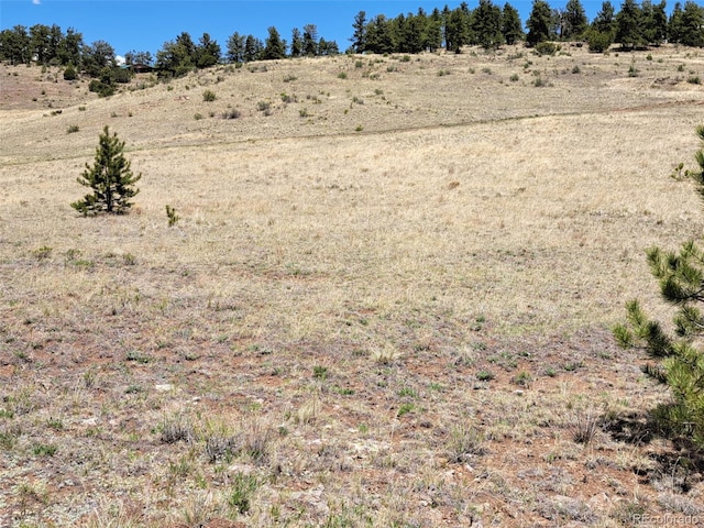 744 Julia Rd, Guffey, CO 80820
