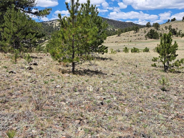 744 Julia Rd, Guffey, CO 80820