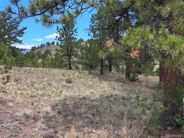 744 Julia Rd, Guffey, CO 80820