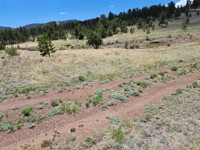 744 Julia Rd, Guffey, CO 80820