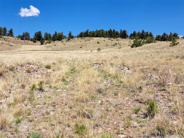 744 Julia Rd, Guffey, CO 80820