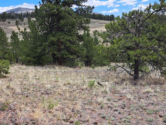 744 Julia Rd, Guffey, CO 80820