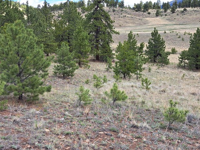 744 Julia Rd, Guffey, CO 80820
