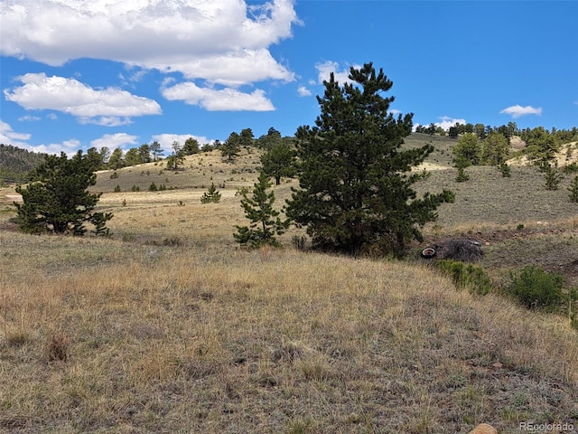 744 Julia Rd, Guffey, CO 80820