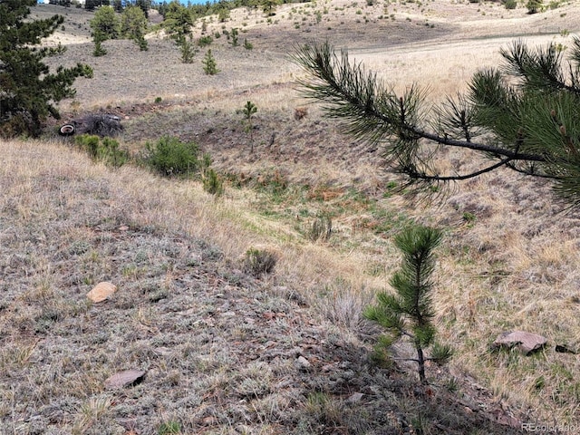 744 Julia Rd, Guffey, CO 80820