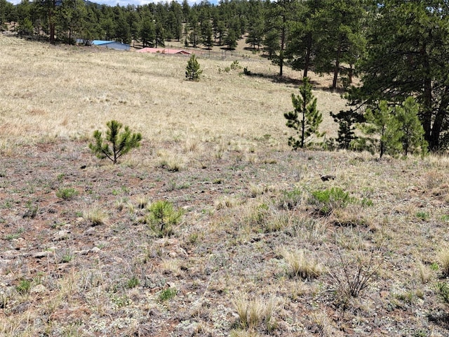 744 Julia Rd, Guffey, CO 80820