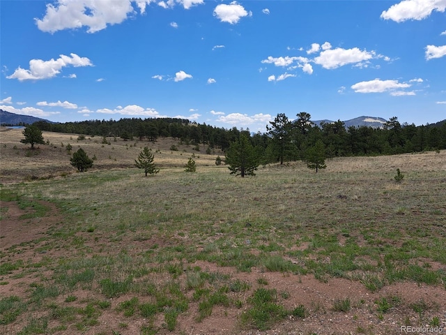 744 Julia Rd, Guffey, CO 80820