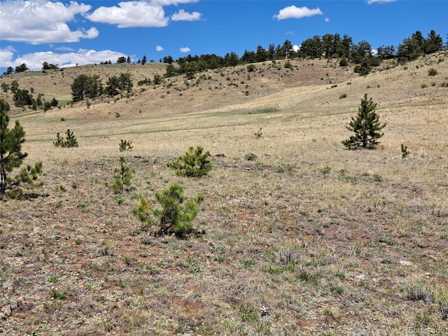 744 Julia Rd, Guffey, CO 80820