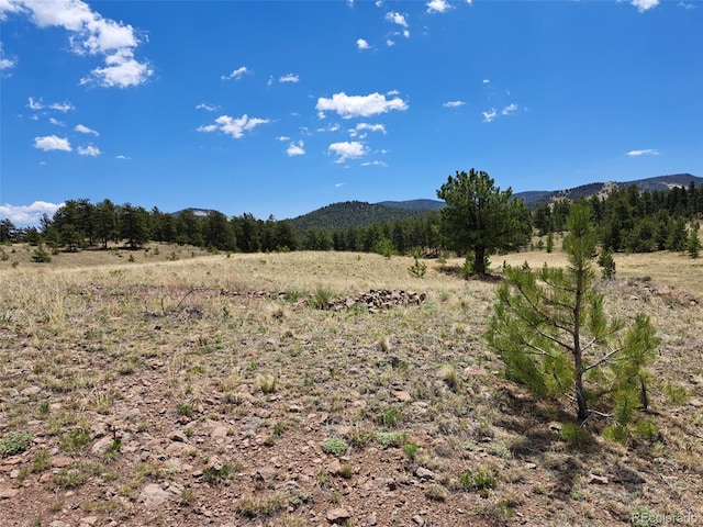 744 Julia Rd, Guffey, CO 80820