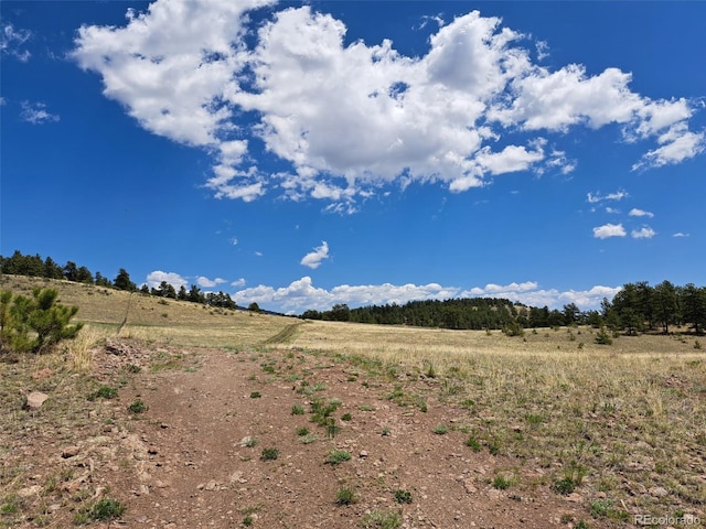 744 Julia Rd, Guffey, CO 80820
