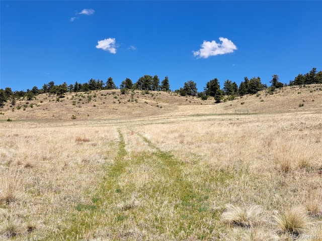 744 Julia Rd, Guffey, CO 80820